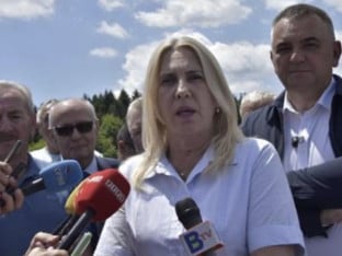 Cvijanović: Srpska uspjela da dobije ravnopravan status