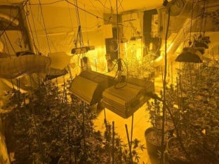 U Sarajevu otkrivene dvije laboratorije za uzgoj marihuane