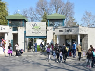 Devet decenija Beo zoo vrta: Kako je nastala jedna od najvećih atrakcija Beograda (FOTO; VIDEO)
