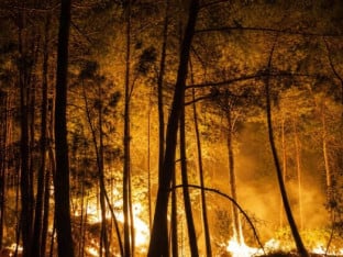 Požar u šumi blizu Pariza izmakao kontroli