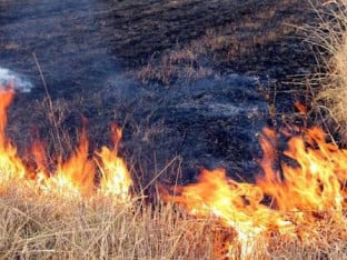 Апел грађанима: Не палите ватру, један тренутак непажње може направити катастрофу