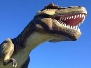 Da li ste znali da su dinosaurusi živjeli kraće nego što mnogi misle