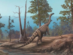 U Zimbabveu pronađena nova vrsta dinosaurusa