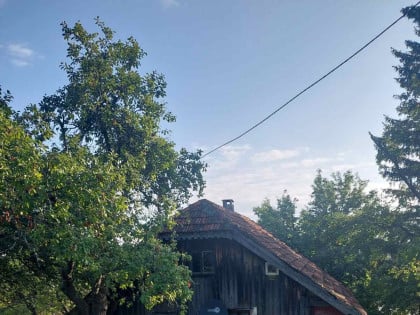 Predložen pritvor Danijelu Grubaču: Prijetio stricu, uzgajao drogu