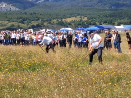 Održana tradicionalna koševina i Olimpijada na Gvoznu (FOTO)