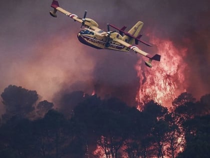 Француска: Изгорјела површина од 59.000 фудбалских терена