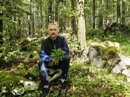 Od društva za prirodu: Pokrenut program za nove uzgajivače ljekovitog bilja