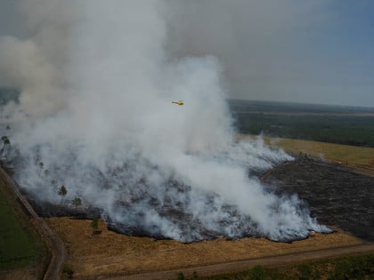 Пакао у Француској и Шпанији: Пожари би могли да трају до новембра!