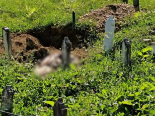Шок у Травнику: Медвјед раскопао гроб