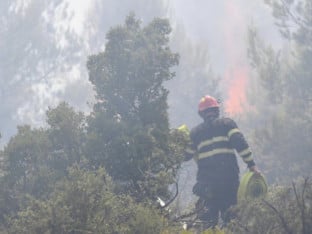 Vatrogasci objavili detalje požara na Dinari