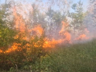 Пожар на Грмечу гори већ пети дан