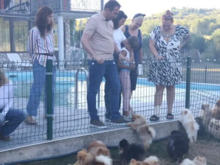 Selak: Podržimo one koji brinu o napuštenim životinjama