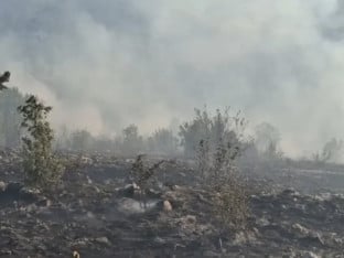 Пожар на Требевићу под контролом