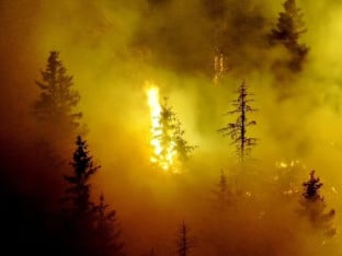 Пожар на Требевићу попримио озбиљне размјере