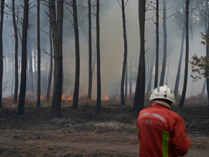 Nakon devet dana požar u Žirondi pod kontrolom, vatra se ponovo rasplamsala u Varu