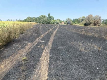 Брзом интервенцијом ватрогасаца заустављено ширење пожара код Српца