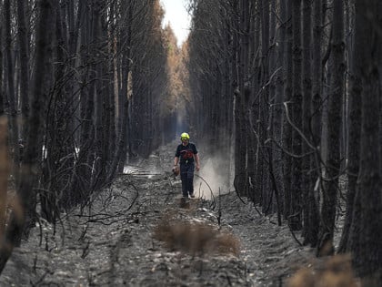 Велики пожар у Жиронди стављен под контролу, пожар у Вару стабилизован