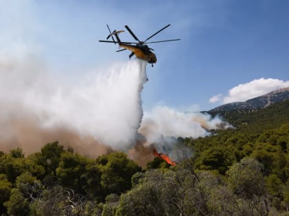 Požari pustoše Grčku: Vatra stigla do naselja, stotine vatrogasaca na terenu