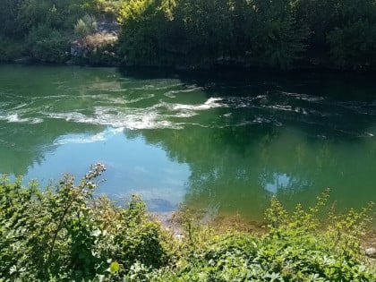 Pjenušava materija pluta Vrbasom, odbornik Mandić prijavio slučaj inspekciji