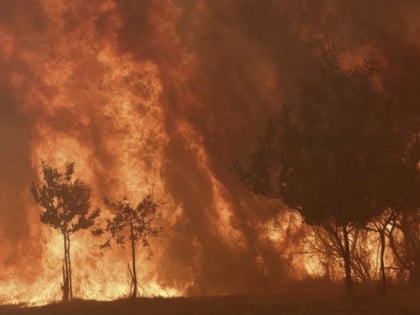 Požari u Španiji ove godine pet puta je veći nego 2025. godine