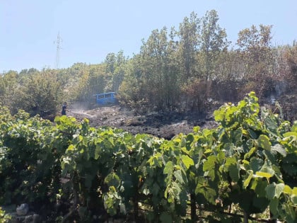 Stanje na požarištu kod Trebinja stabilno