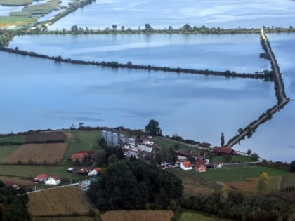 Osnovano preduzeće koje će upravljati ribnjakom "Saničani"