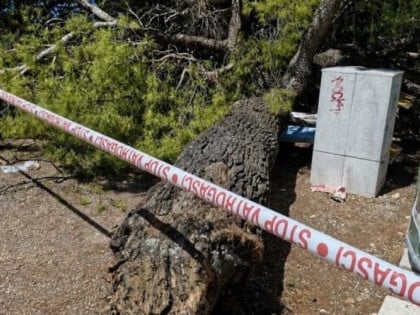 Stablo bora palo na plaži u Crikvenici, povrijeđeno četvoro ljudi