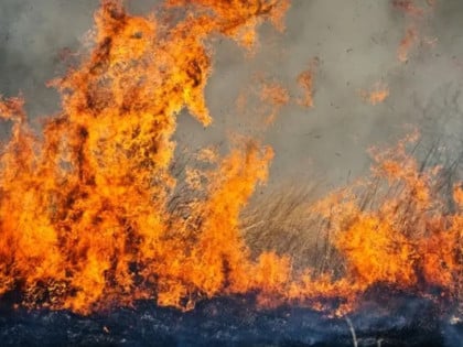 Francuska: Stotine ljudi osumnjičene za izazivanje požara