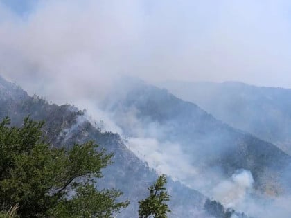 Гори борова шума код Јајца, гашење отежава опасност од мина