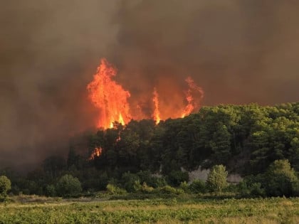 U Bujanovcu proglašena vanredna situacija zbog širenja vatre