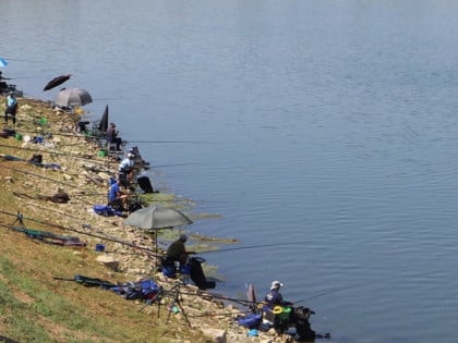 Gradiška okupila najbolje ribolovce iz regiona