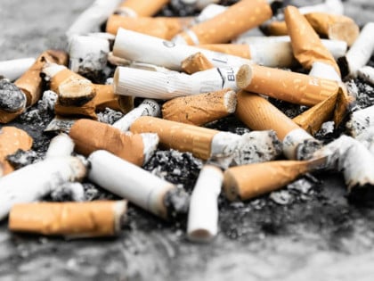 Na obali Sjevernog mora prikupljeno skoro 80.000 opušaka