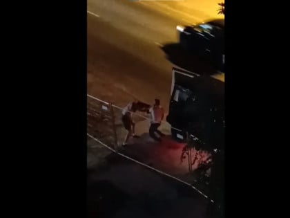 Реконструкција драме у Новом Саду: Ко је спремао отмицу, шта је слагала жртва