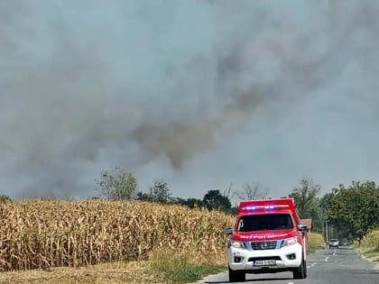 Локализован пожар у викенд-насељу Aмајлије