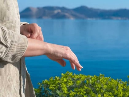 Najezda insekata u Hrvatskoj: Sitne bube iz Turske opsjedaju gradove i ujedaju ljude