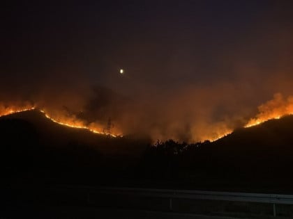 Požarna linija u okolini Trebinja duga osam kilometara