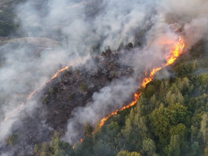 Požar u Osojnici stavljen pod kontrolu