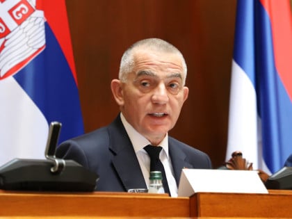 Vujić: Srbija će nastaviti da traži poštovanje ljudskih prava Mladića