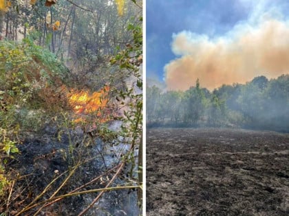 Zvornik: Požari na području Snagova i Kamenice