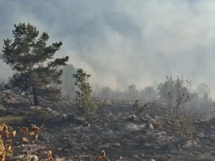 I dalje aktivan požar na Trebeviću
