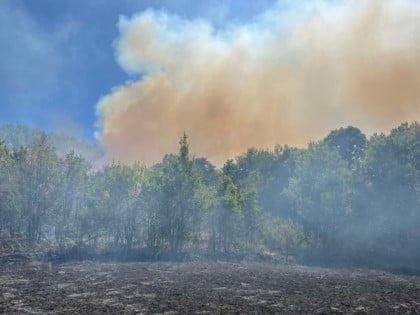 Zvornik: Vatra sa područja Veljove glave spušta se prema kućama