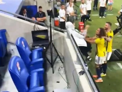 Fudbaler Fenerbahčea provocirao publiku, izbila tuča na tribinama
