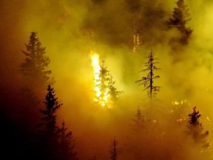Пожар на Требевићу попримио озбиљне размјере