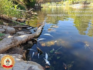 Сумња се на помор рибе у ријеци Спречи