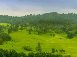 Између Таре и Златибора крије се село које чува једну од најпознатијих српских мистерија