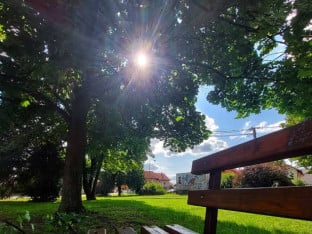 Данас сунчано и топло