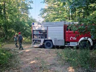 Пожар у Срђевићима угашен након два дана борбе, изгорјело око 50 хектара