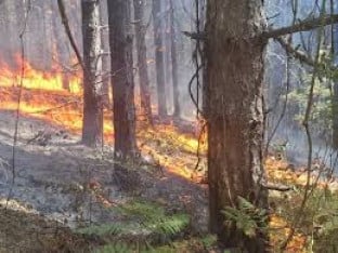 Велики пожари харају на подручју Фоче, ватрогасци се боре с ватром