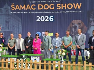 Више од 800 паса на петој међународној изложби у Шамцу