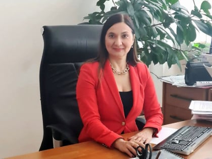 Сајић: БиХ пред новим дипломатским скандалом због ненамјенског трошења новца